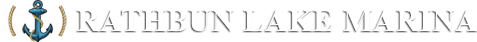 A black and white image of the logo for the news lens.